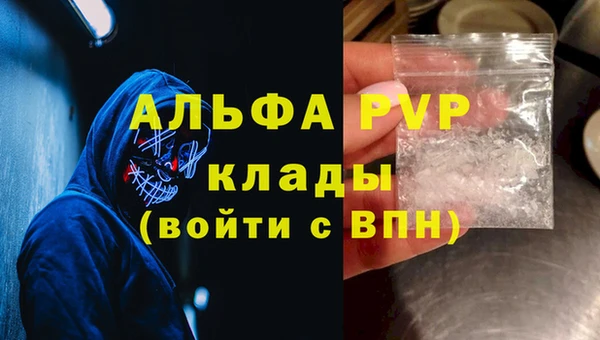 сатива Баксан