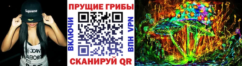 закладка blacksprut рабочий сайт Галлюциногенные грибы мухоморы Горнозаводск